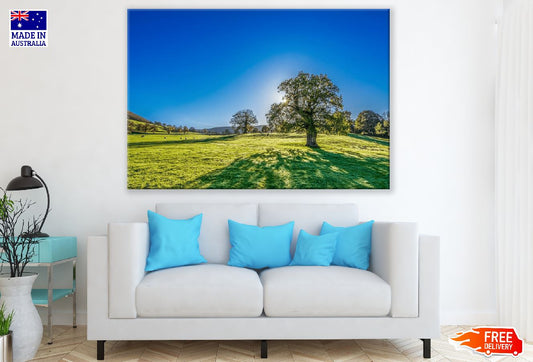 Trees on a Meadow and Blue Sky Photograph Print 100% Australian Made