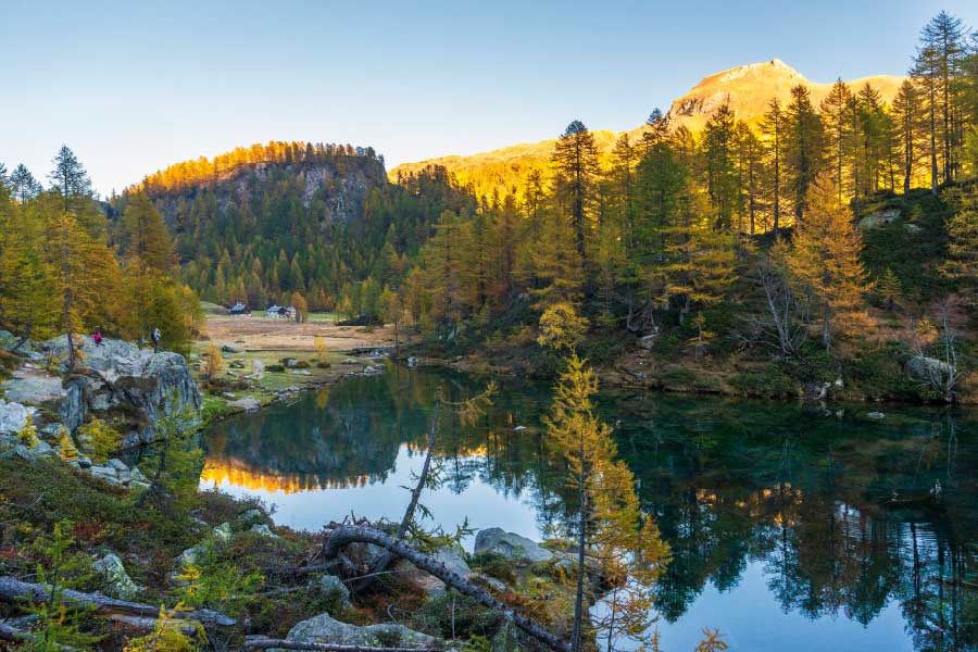 Bella Home River by the Forest & Sunset View Print Canvas Ready to hang