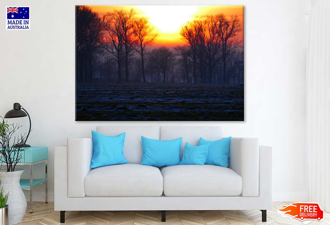 Forest Sunset Photograph Print 100% Australian Made