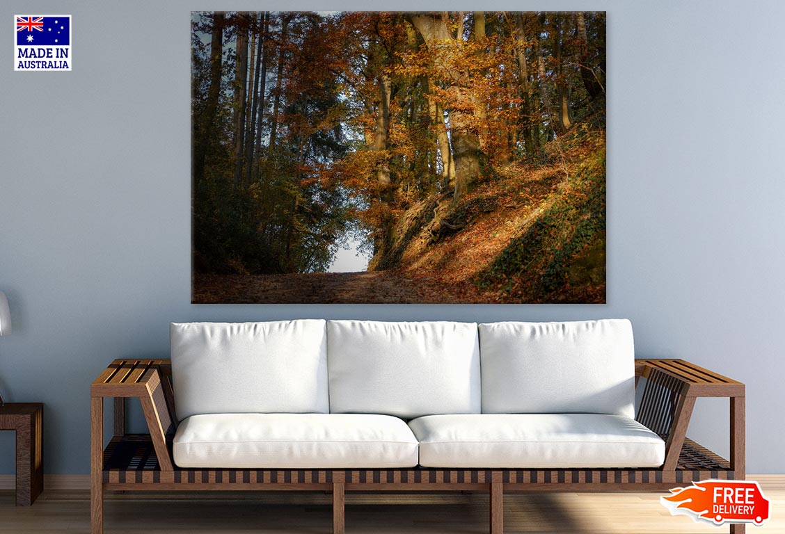 Autumn Forest Photograph Print 100% Australian Made