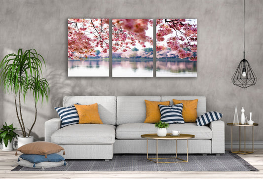 3 Set of Blossom Tree Near Lake Photograph High Quality Print 100% Australian Made Wall Canvas Ready to Hang