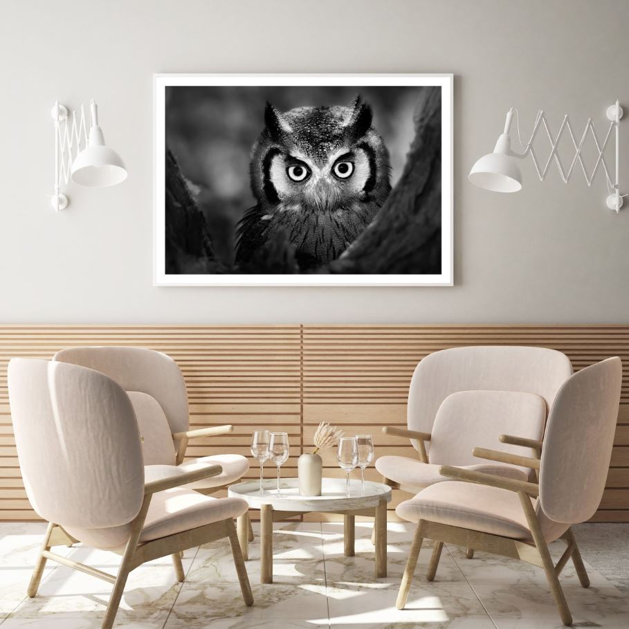 Owl Portrait B&W Photograph Home Decor Premium Quality Poster Print Choose Your Sizes