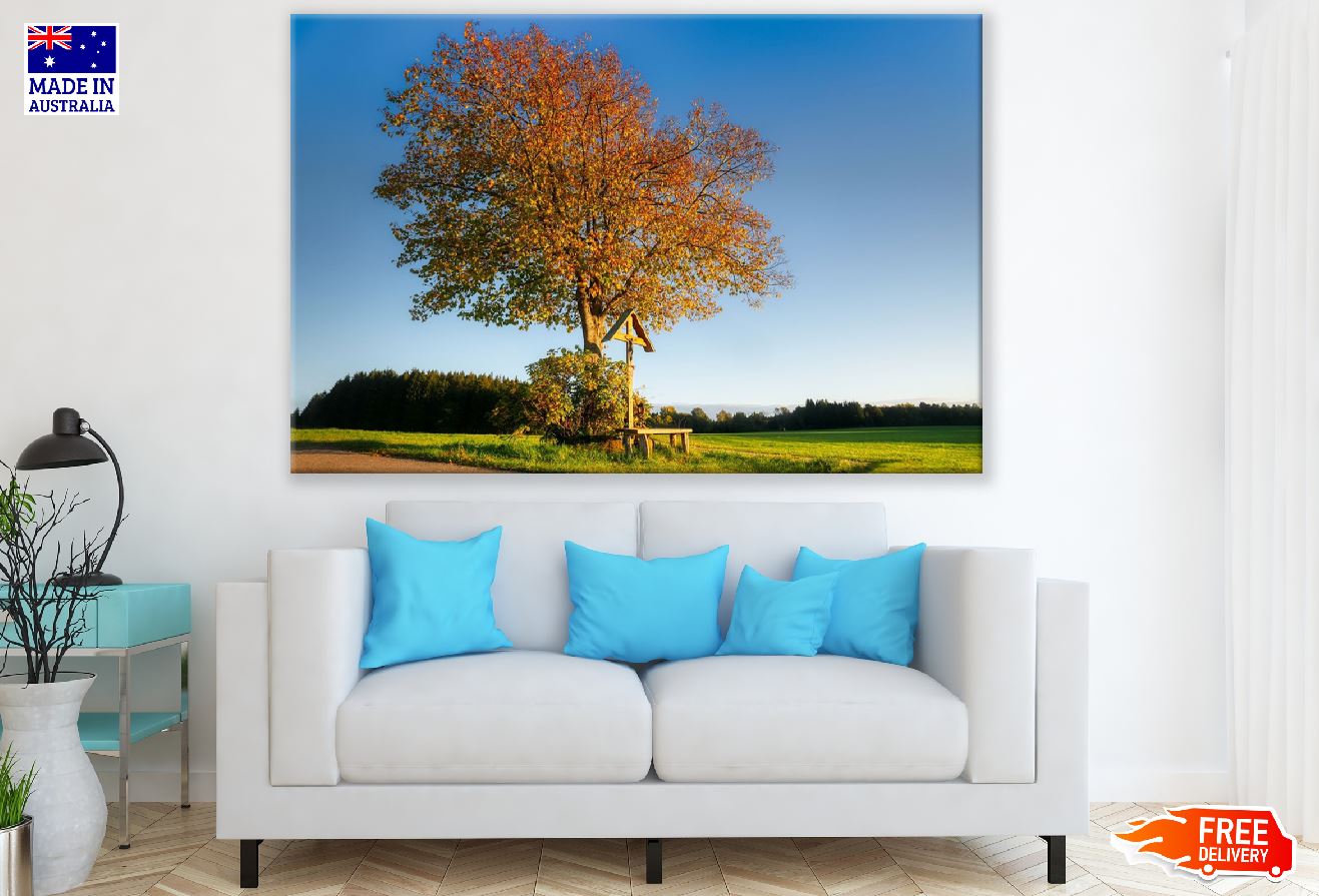 Autumn Tree in Grass Field Photograph Print 100% Australian Made