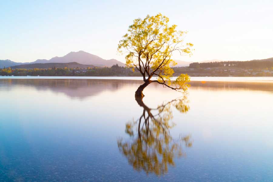 Bella Home Yellow Tree in Lake & Sunset View Print Canvas Ready to hang