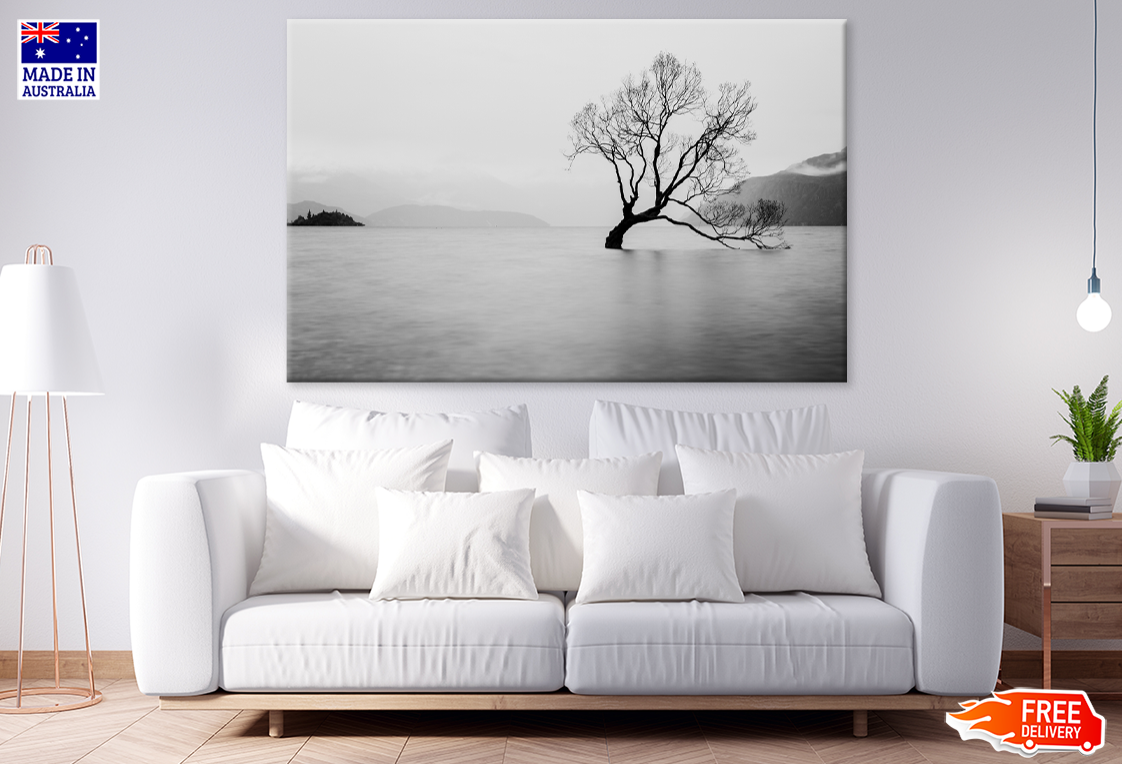 Tree On Lake Sky View B&W Photograph Print 100% Australian Made