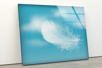 Feather Photograph Acrylic Glass Print Tempered Glass Wall Art 100% Made in Australia Ready to Hang