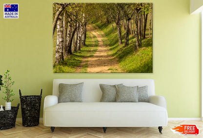 Trees Along Road Photograph Print 100% Australian Made