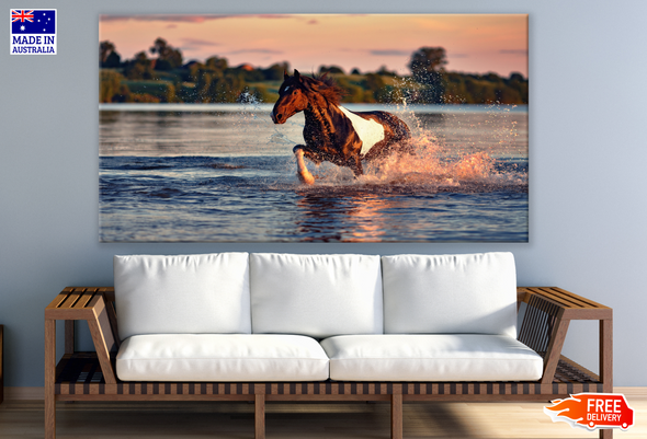 Horse Running on Water Photograph Print 100% Australian Made