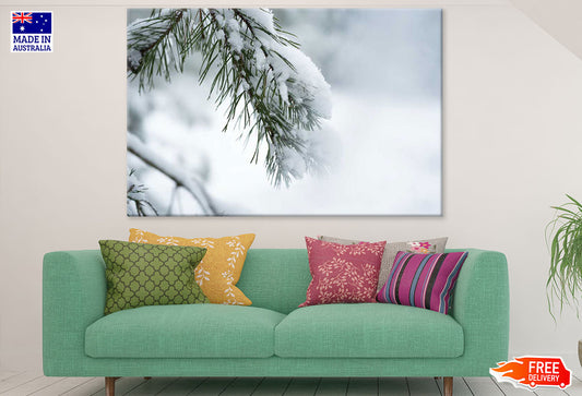 Pine Branch & Snow Closeup Photograph Print 100% Australian Made