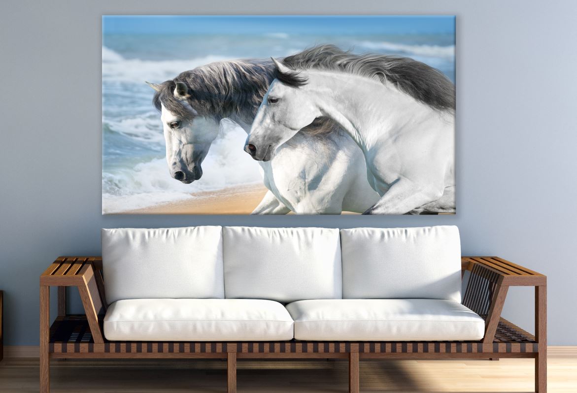 White Horse Couple on Shoreline Print 100% Australian Made