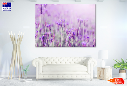 Purple Lavender Flowers Closeup Photograph Print 100% Australian Made