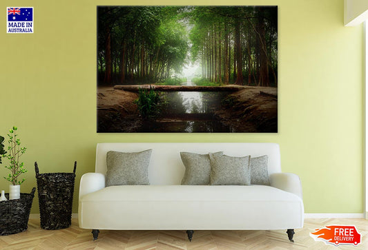 Tree Trunk Bridge in Dark Misty Forest Photograph Print 100% Australian Made