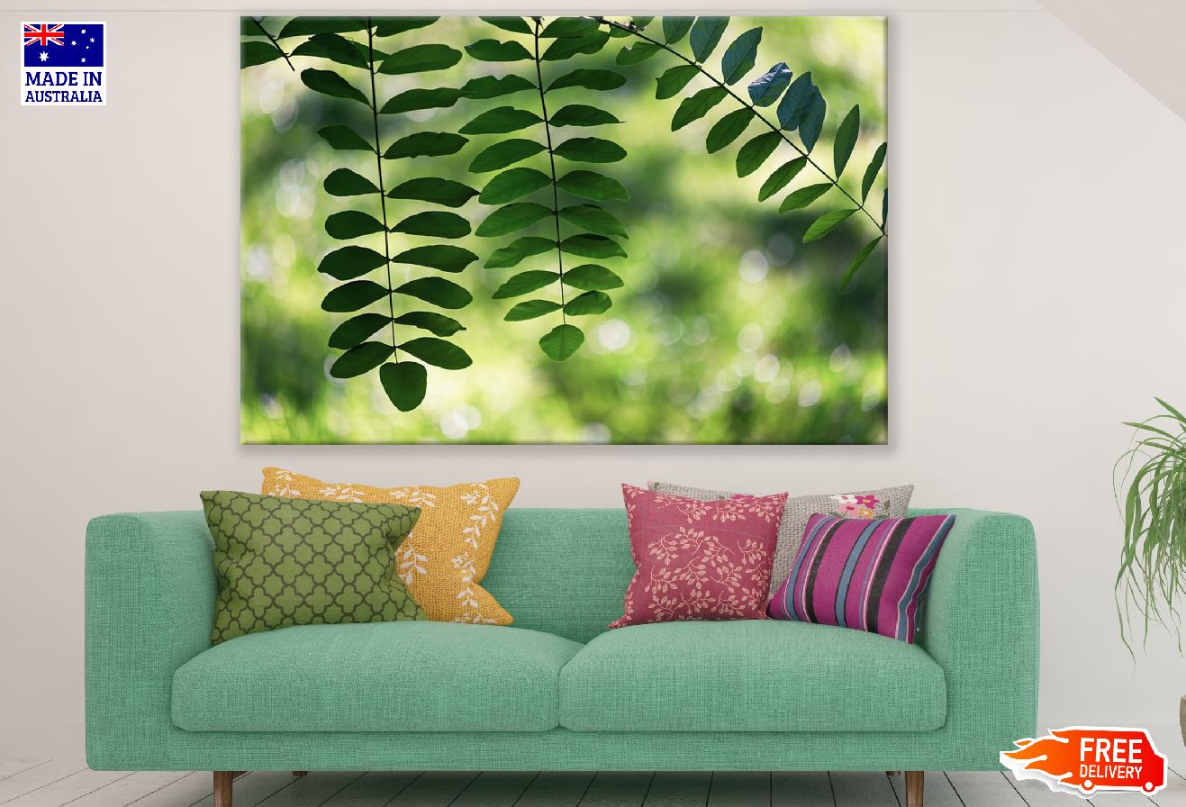 Green Leaves Plant Photograph Print 100% Australian Made