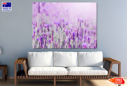 Purple Lavender Flowers Closeup Photograph Print 100% Australian Made