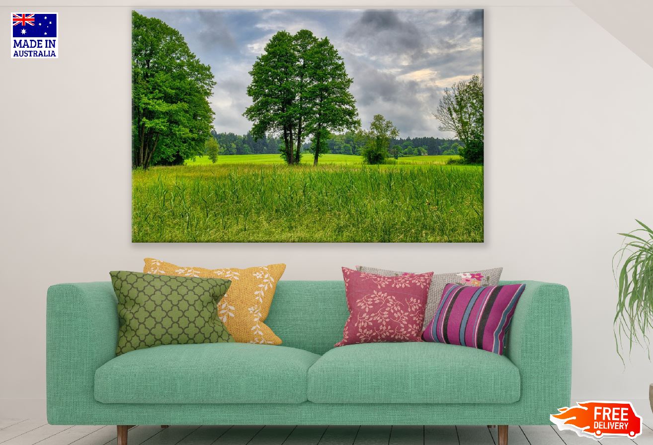 Green Trees & Rice Field Photograph Print 100% Australian Made