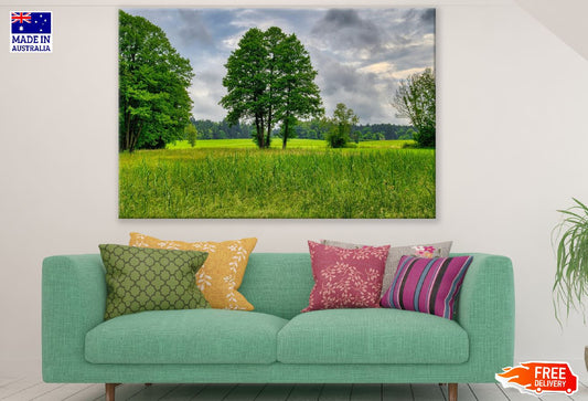 Green Trees & Rice Field Photograph Print 100% Australian Made