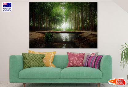 Tree Trunk Bridge in Dark Misty Forest Photograph Print 100% Australian Made