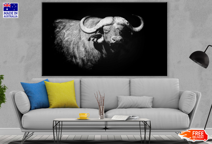 Buffalo Black & White Portrait Photograph Print 100% Australian Made