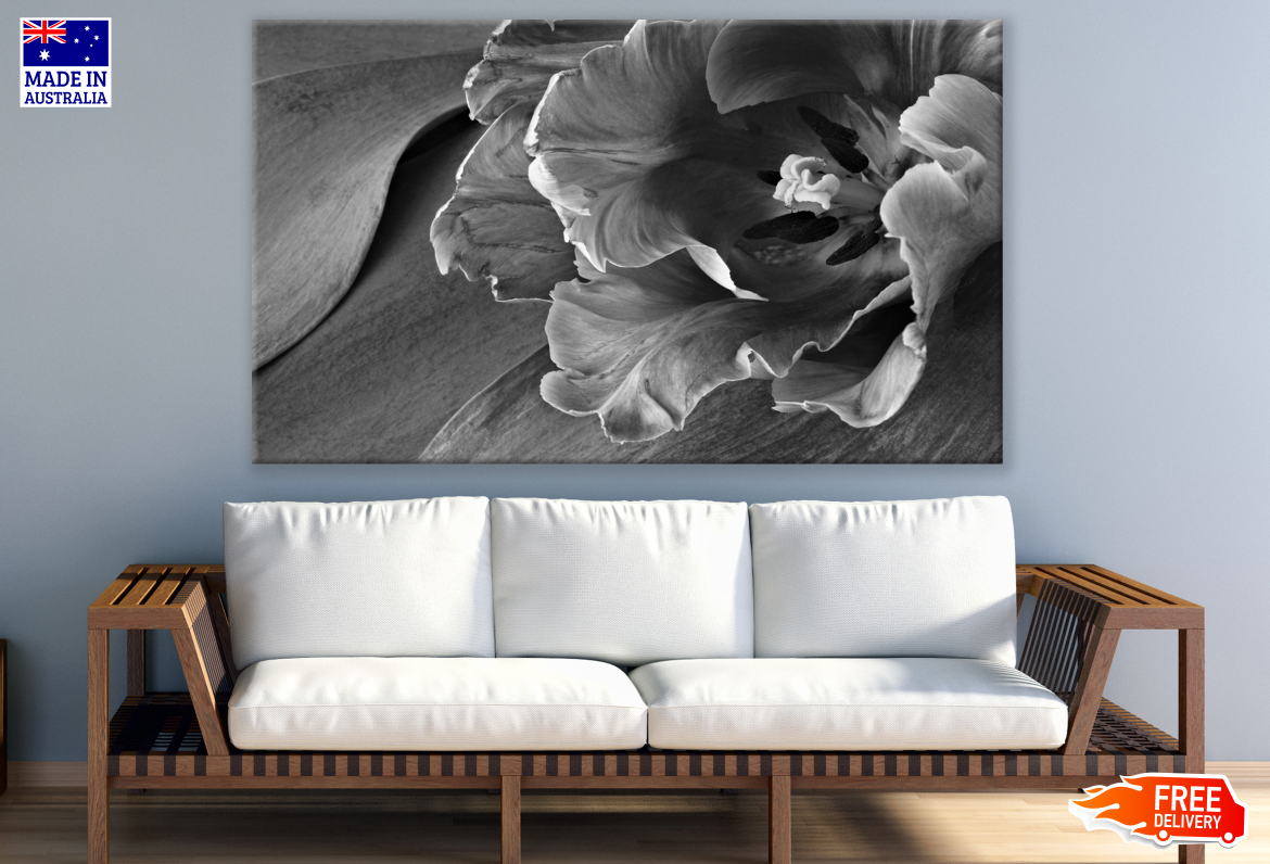 Lily Flower Black & White Photograph Print 100% Australian Made