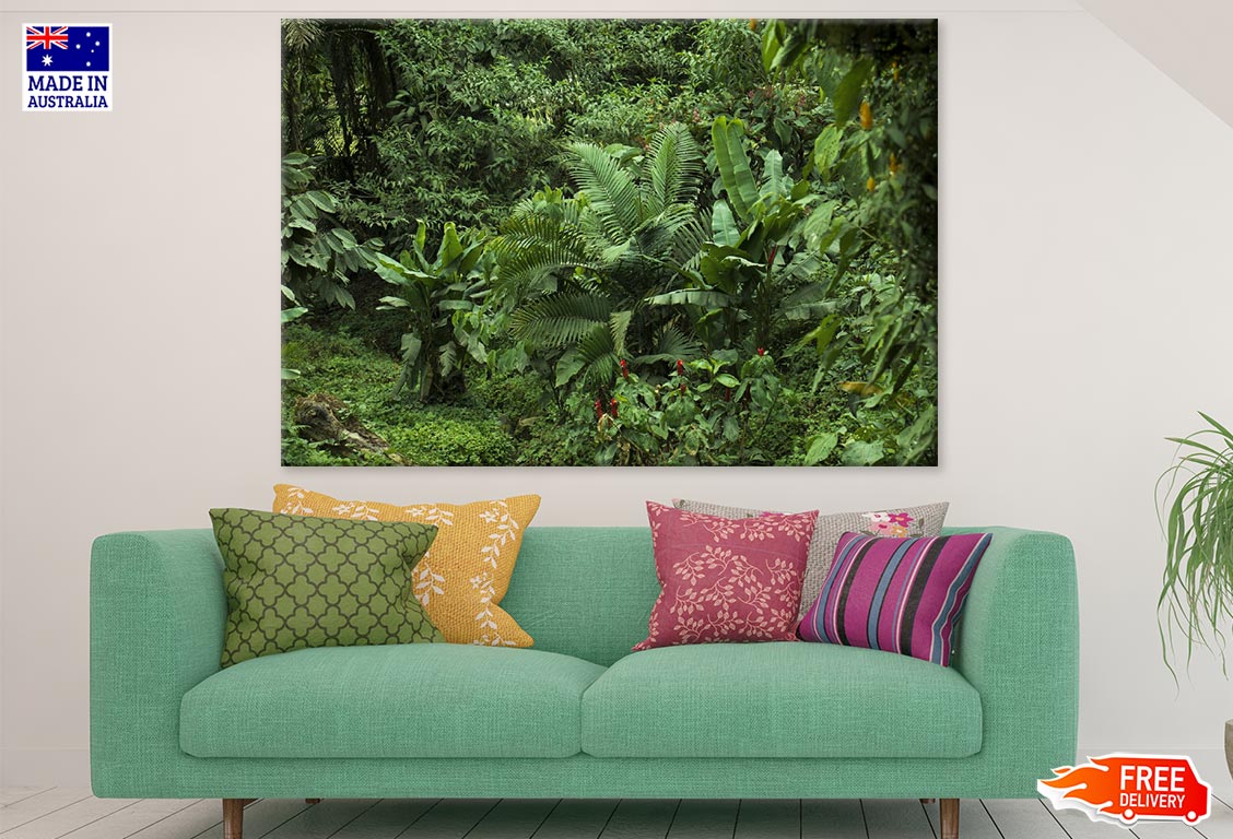 Small Plant Forest Photograph Print 100% Australian Made