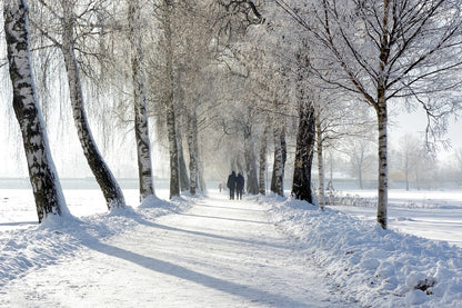 Snow Tree Lined Avenue Photograph Print 100% Australian Made