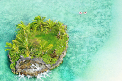 Trees On Island & Sea Aerial View Photograph Print 100% Australian Made