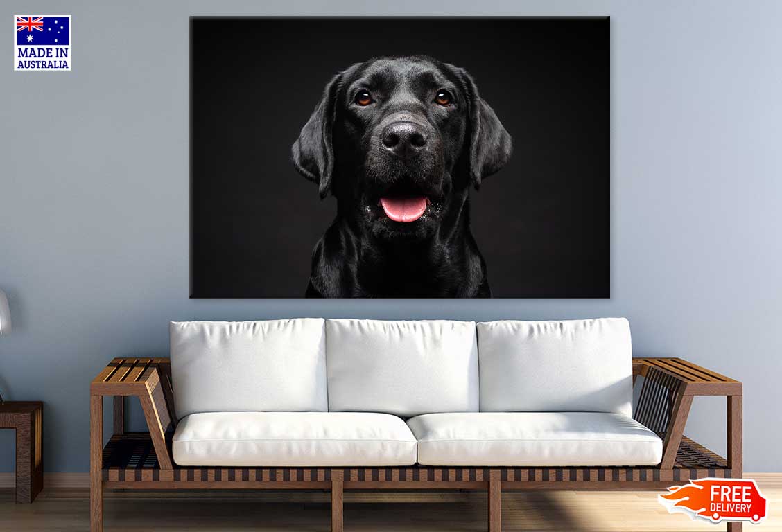 Labrador Retriever Dog on Dark Photograph Print 100% Australian Made