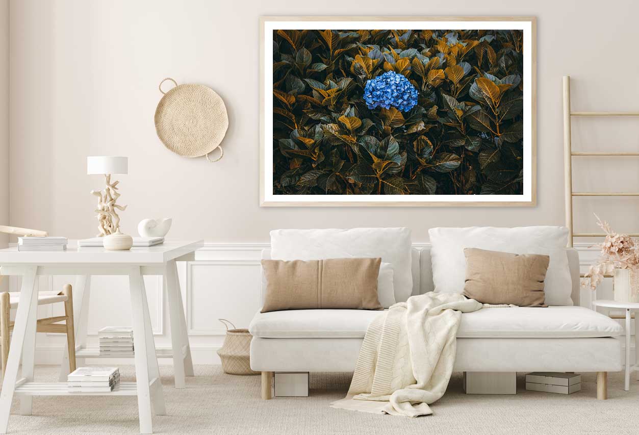 Blue Flowers with Plants View Photograph Home Decor Premium Quality Poster Print Choose Your Sizes