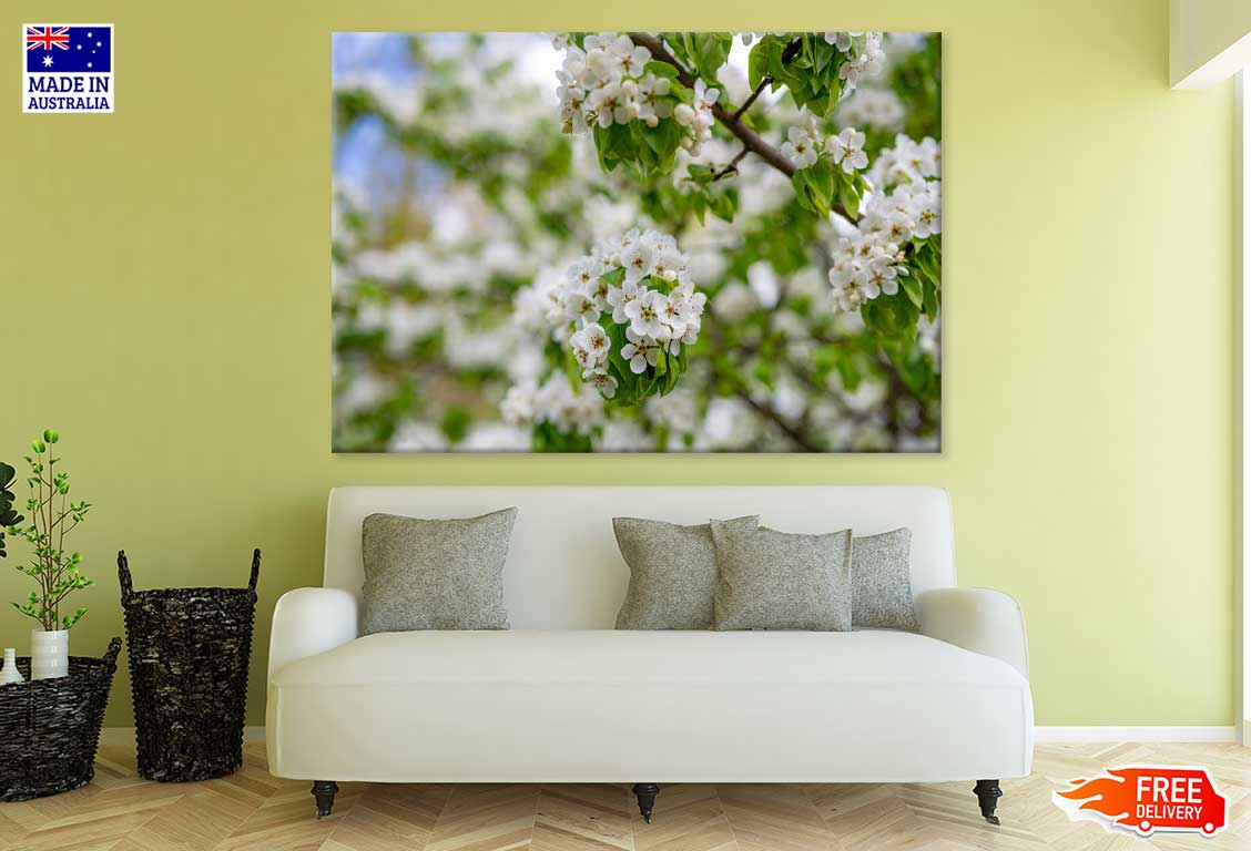 White Blossom Flowers Branch View Photograph Print 100% Australian Made