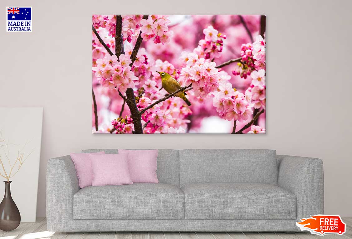 Bird on Pink Blossom Flowers Tree Photograph Print 100% Australian Made