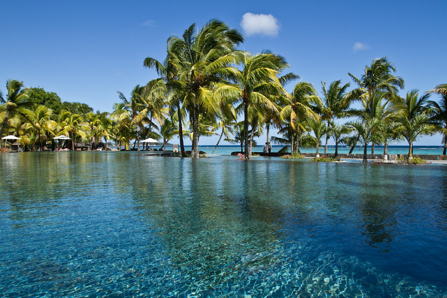 Palm Tree Near Infinity Pool & Sea Photograph Print 100% Australian Made