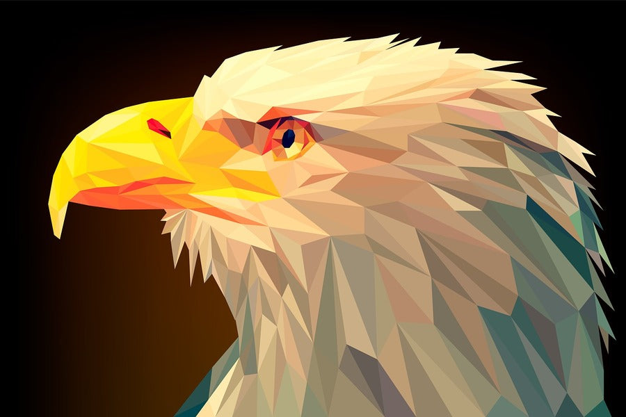 Eagle Closeup Digital Art Print 100% Australian Made