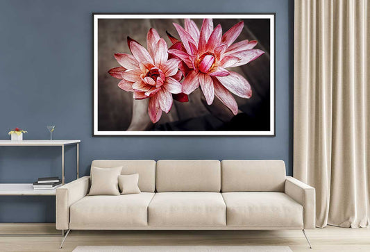 Red Pink Amaryllis Flowers View Photograph Home Decor Premium Quality Poster Print Choose Your Sizes