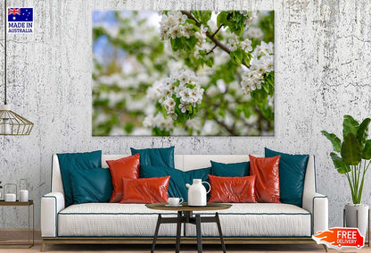 White Blossom Flowers Branch View Photograph Print 100% Australian Made