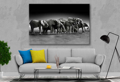 Bella Home B&W Pack of Elephants Print Canvas Ready to hang