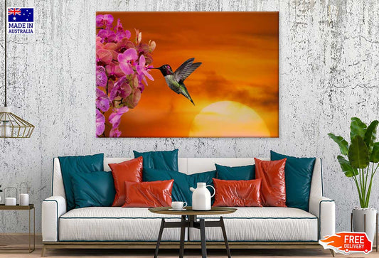 Hummingbird & Flowers Photograph Print 100% Australian Made
