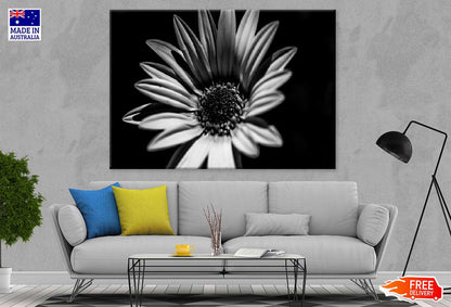 Sunflower Closeup B&W Photograph Print 100% Australian Made