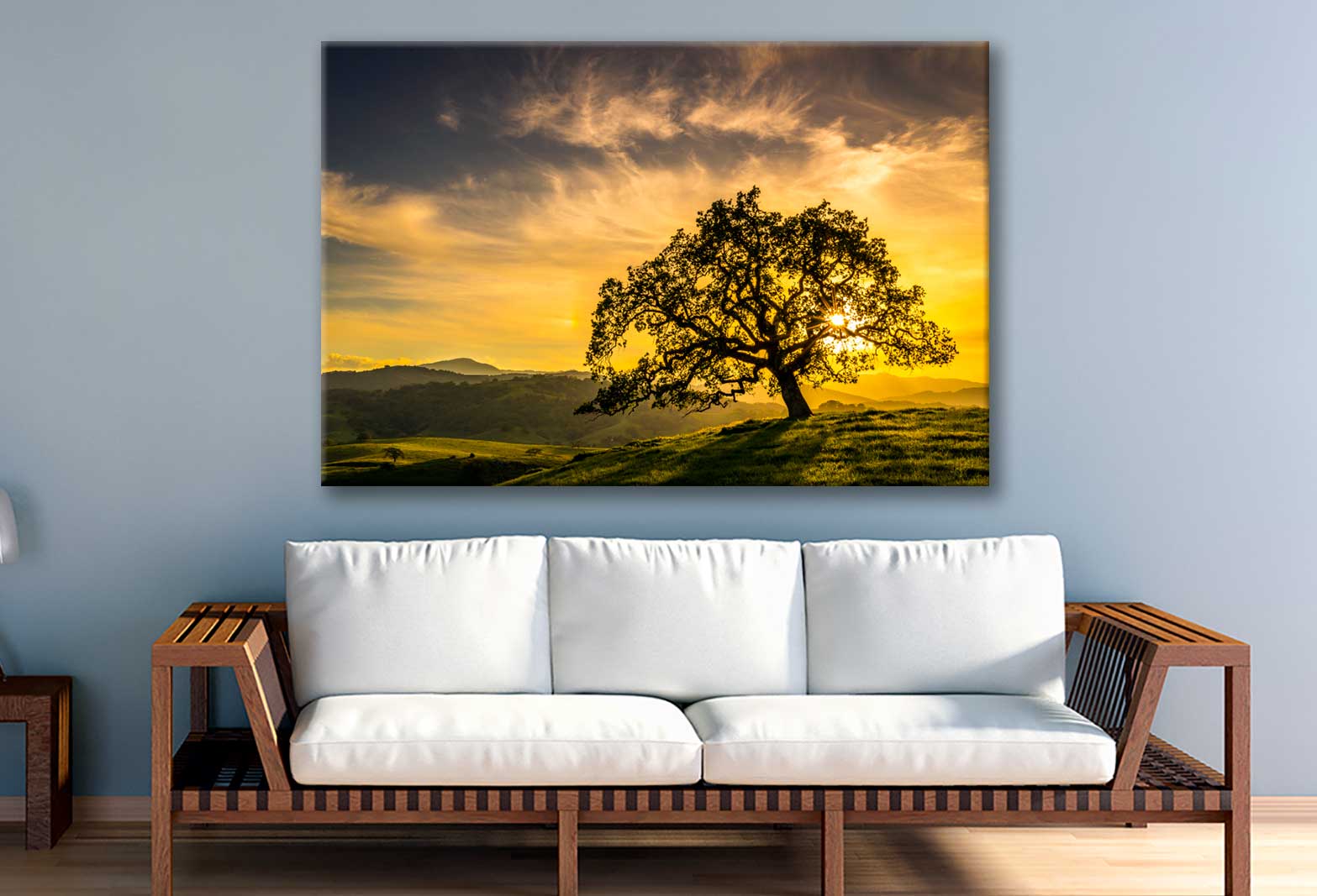 Bella Home Sunset Through an Oak Tree View Print Canvas Ready to hang