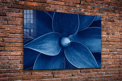 Blue Flower Closeup Print Tempered Glass Wall Art 100% Made in Australia Ready to Hang