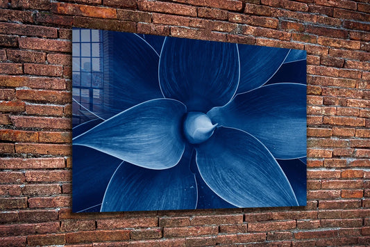 Blue Flower Closeup Print Tempered Glass Wall Art 100% Made in Australia Ready to Hang