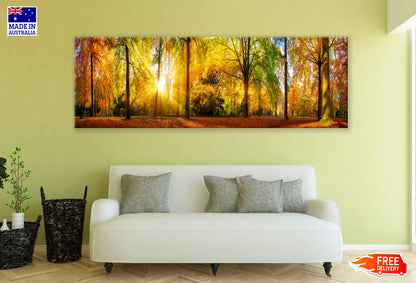 Panoramic Canvas Sunny Autumn Trees View Photograph High Quality 100% Australian Made Wall Canvas Print Ready to Hang