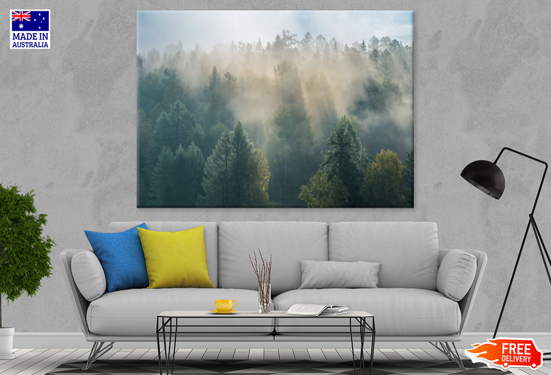 Misty Forest & Trees View Photograph Print 100% Australian Made