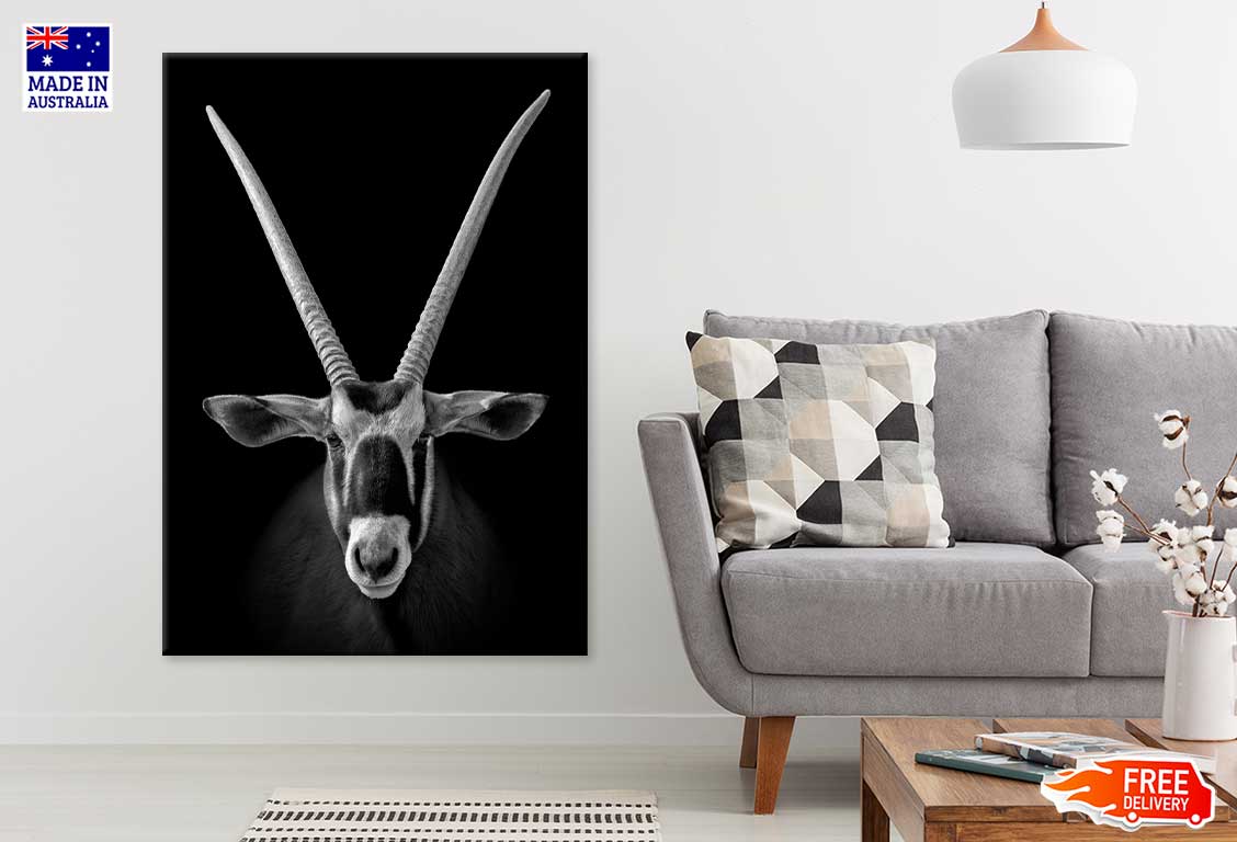 African oryx on Dark B&W View Photograph Print 100% Australian Made