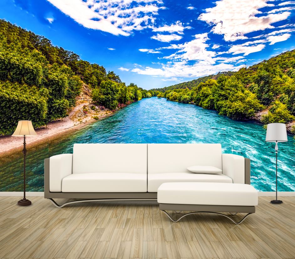 Wallpaper Murals Peel and Stick Removable Stunning Water Stream High Quality