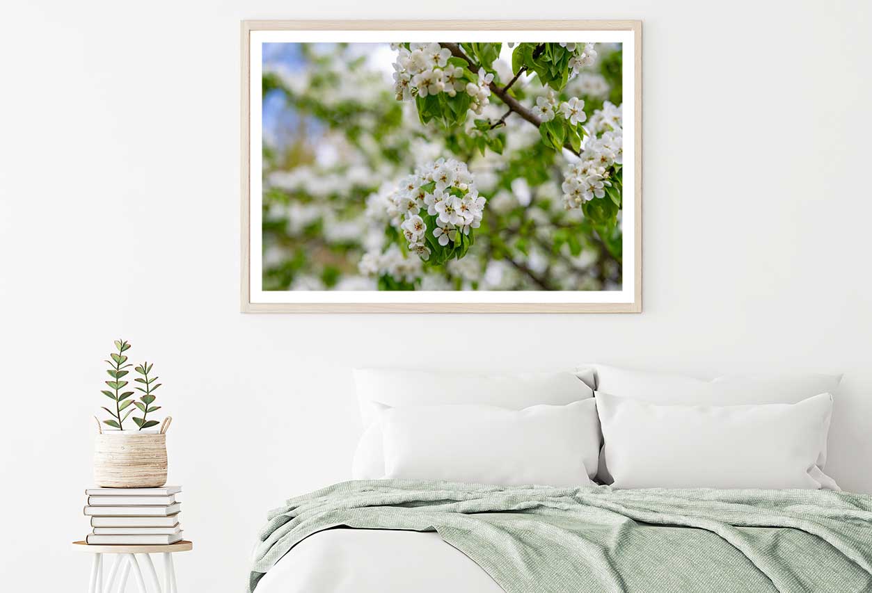 White Blossom Flowers Branch View Photograph Home Decor Premium Quality Poster Print Choose Your Sizes