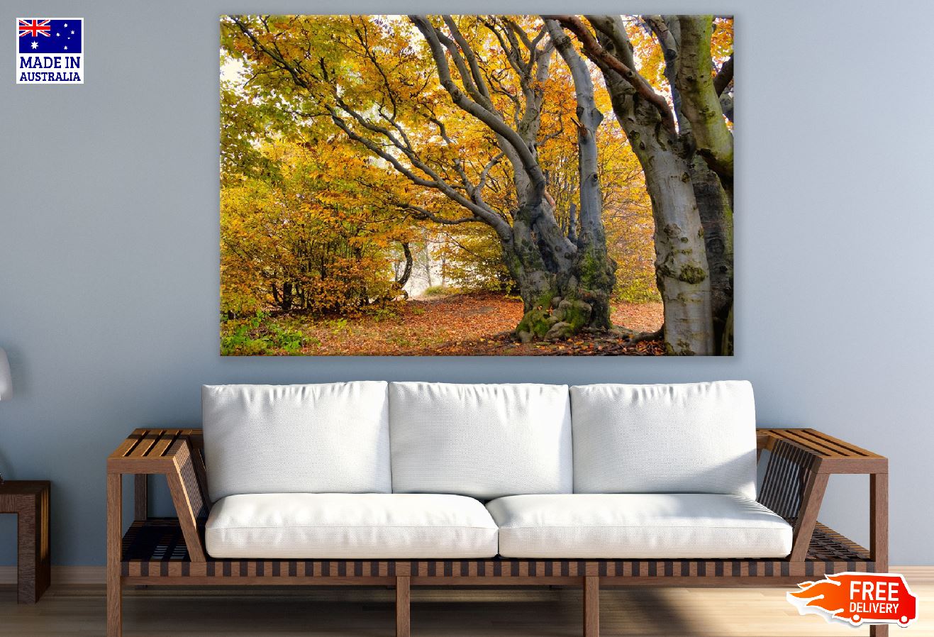 Old Trees During Autumn Photograph Print 100% Australian Made