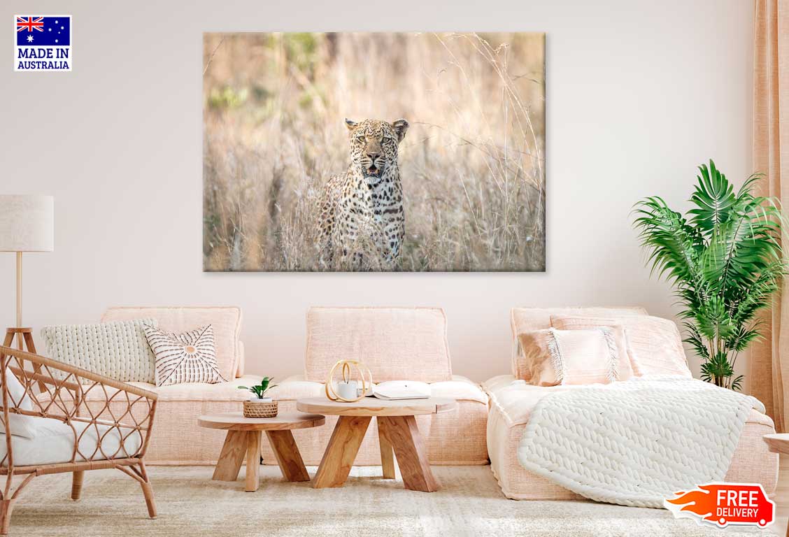 Leopard Blending in Kruger Park View Photograph Print 100% Australian Made