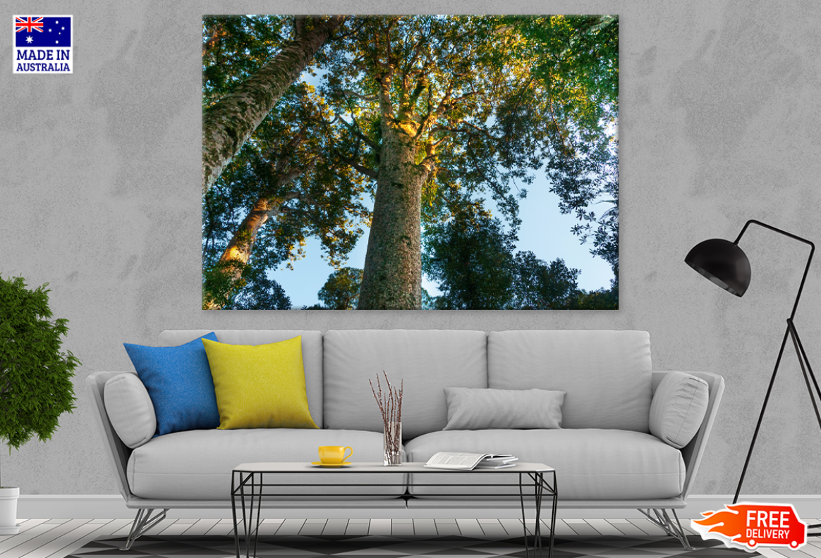 Trees & Sky View Photograph Print 100% Australian Made