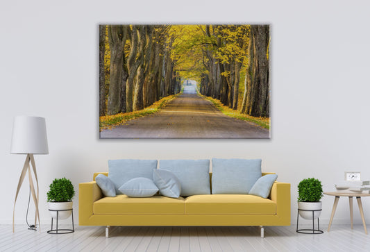 Yellow Trees and road Nature Print 100% Australian Made