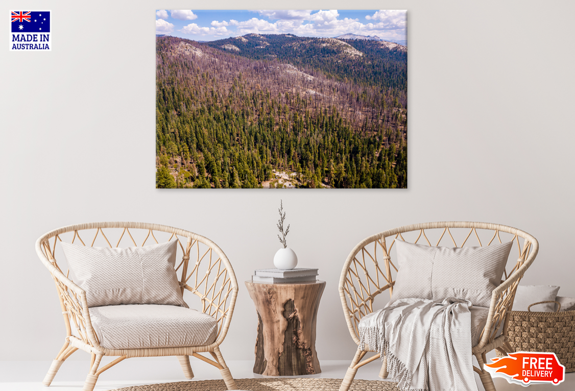 Trees & Rock Mountain View Photograph Print 100% Australian Made